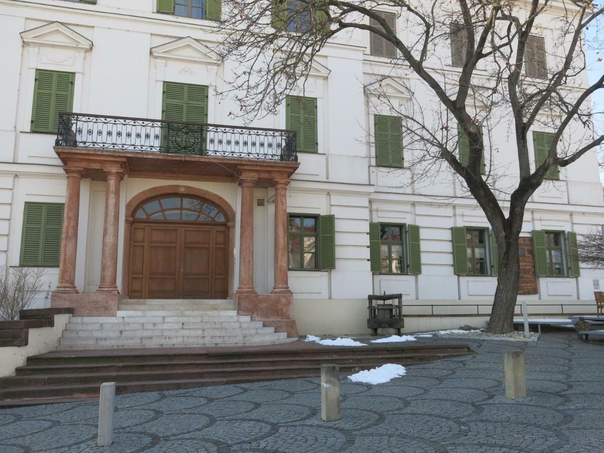 Horvath Villa Apartman Aliz 블로톤퓌레드 외부 사진